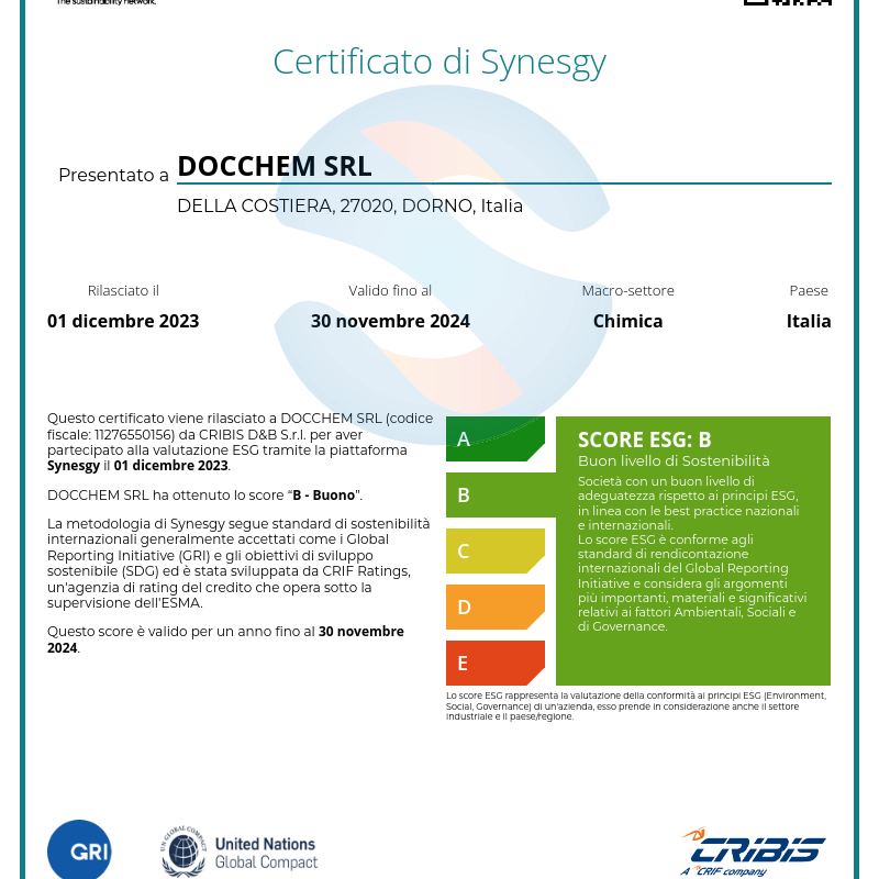 Docchem ottiene la prestigiosa Certificazione Synesgy: un passo decisivo verso l’Eccellenza ESG. 